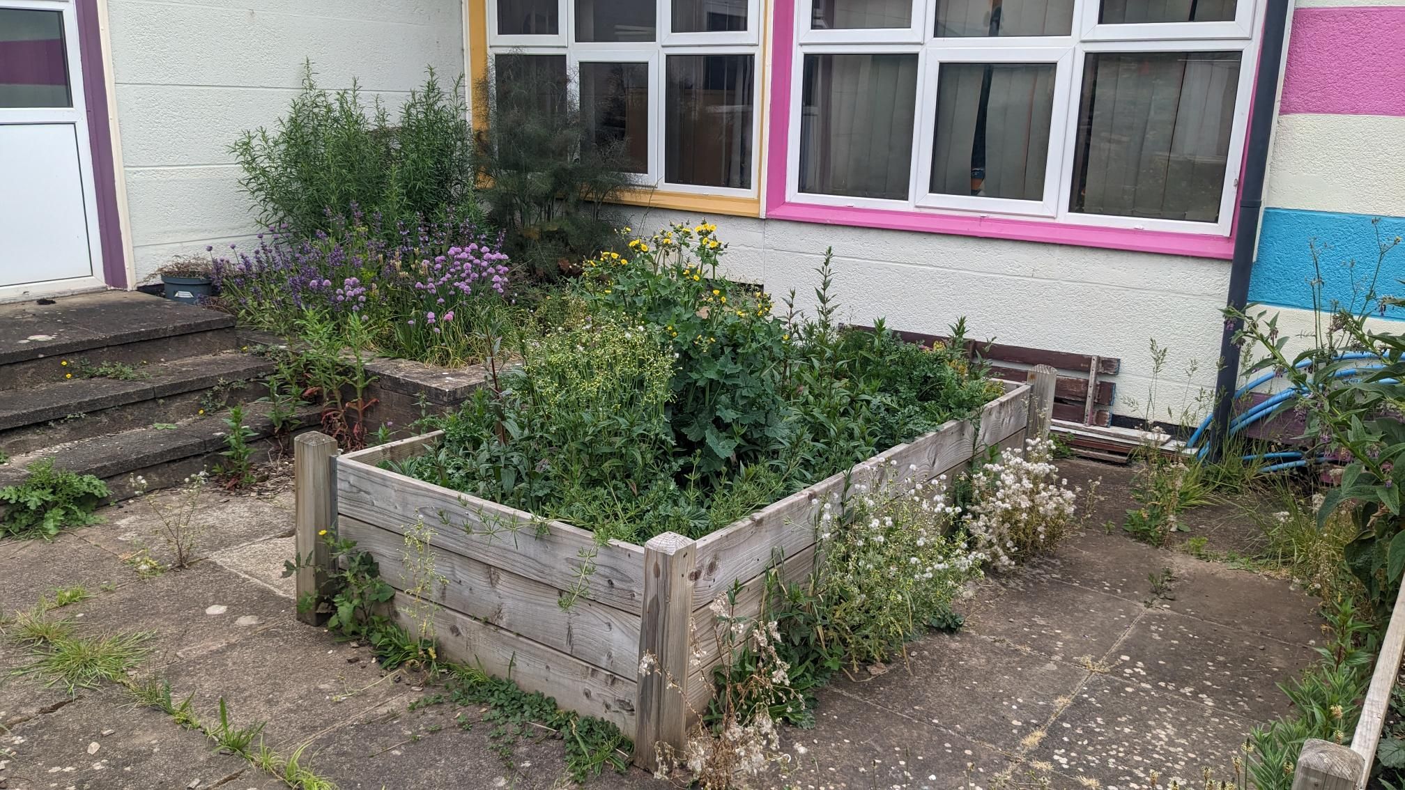 WEETEC garden 2