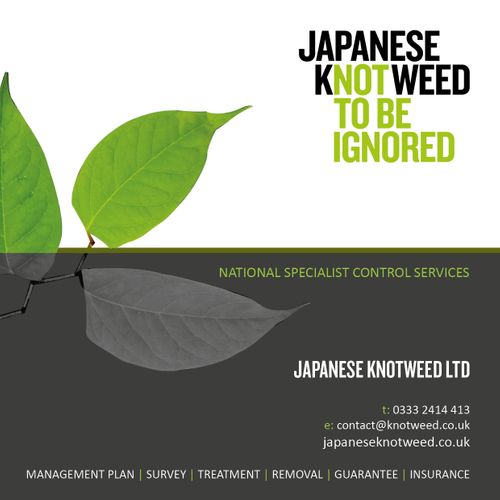 Japanese Knotweed Ltd services brochure