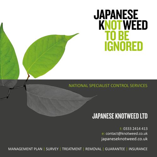 Japanese Knotweed Ltd Services Brochure