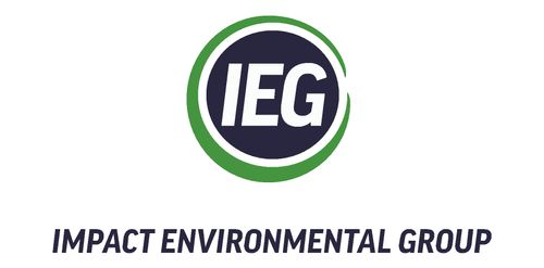 IEG