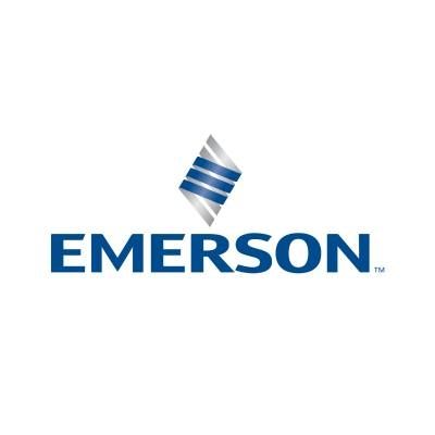 Emerson / Flexim