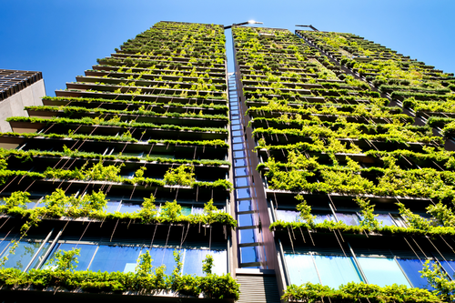 BLOG: Carbon-Free Buildings: Pioneering the Future of Sustainable Construction
