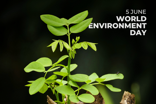 World Environment Day 2024: Green Jobs for a Greener Future