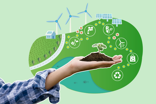 BLOG: 10 Ways to Reduce Your Environmental Impact in 2024