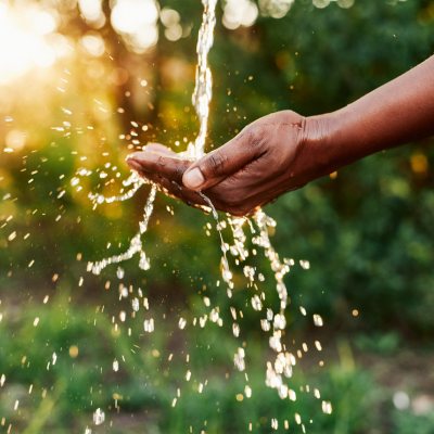 BLOG: Water Conservation Tips for Home and Garden