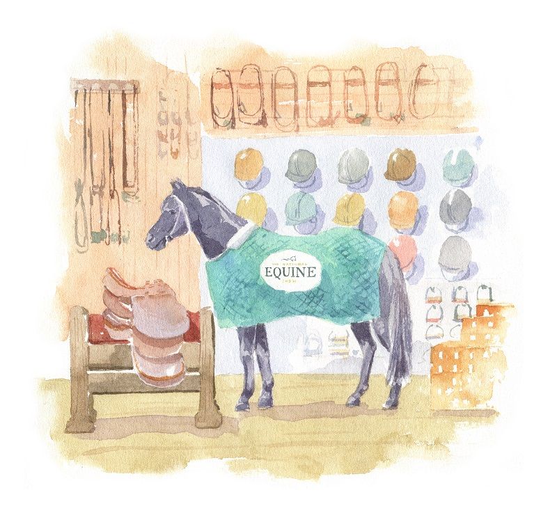 THE PREMIUM SHOPPING EXPERIENCE FOR PEOPLE THAT LOVE HORSES