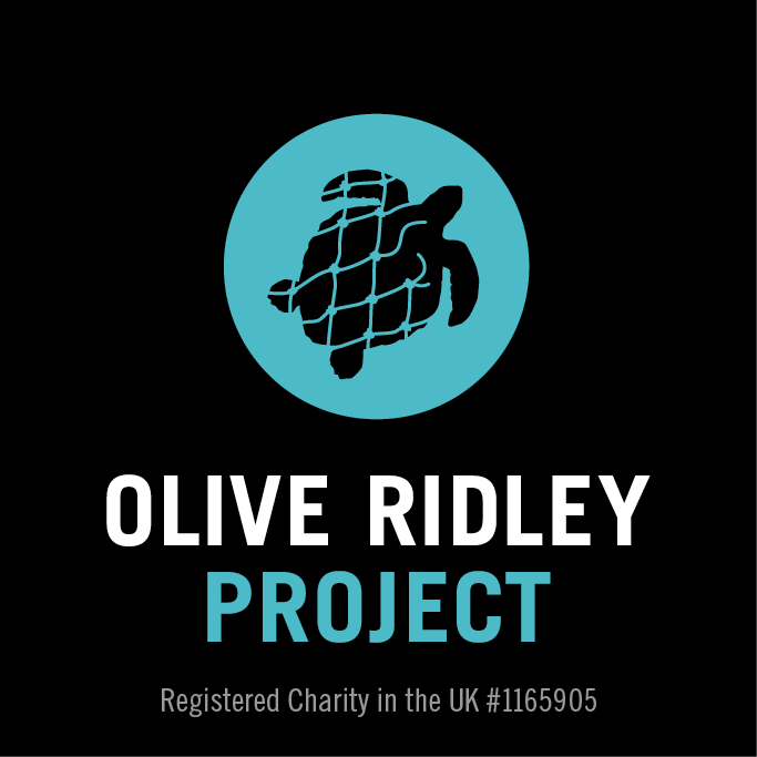 Olive Ridley Project