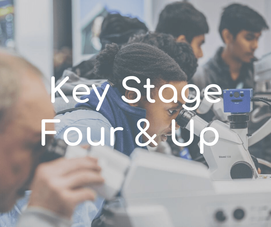 Key stage 4 and up