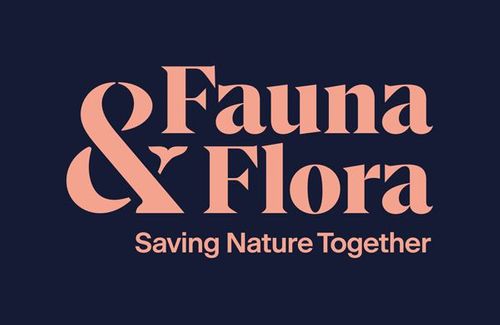 Fauna and Flora