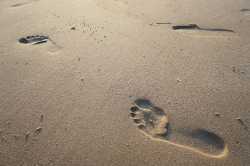 Do you know where the term ‘carbon footprint’ comes from?