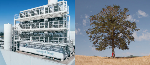 Nature vs. machine and the quest to capture carbon