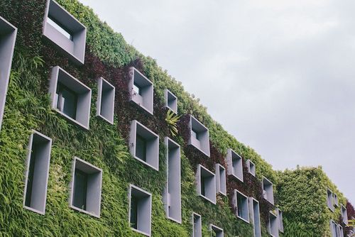 Innovations in Green Building