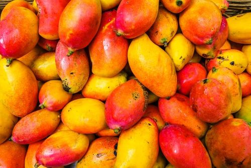 When life gives you mangoes, make a fruit leather bag?