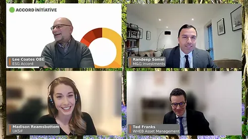 Screenshot of webinar speakers Megan Reamsbottom (UKSIF), Lee Coates (ESG Accord), Rendeep Somel (M&G Investments) and Ted Franks (WHEB Asset Mangement) on Zoom