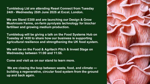 Tumblebug at Reset Connect 2025