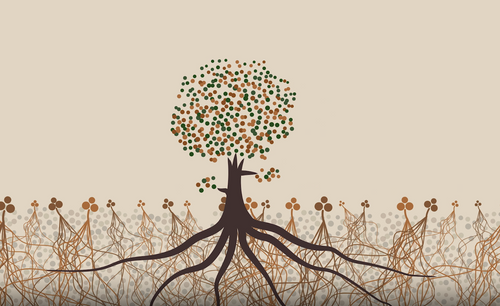 Animated Film - Magical Mushroom Company