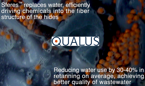 Qualus at LEFARC Mexico