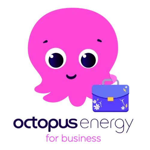 Octopus Energy for Business