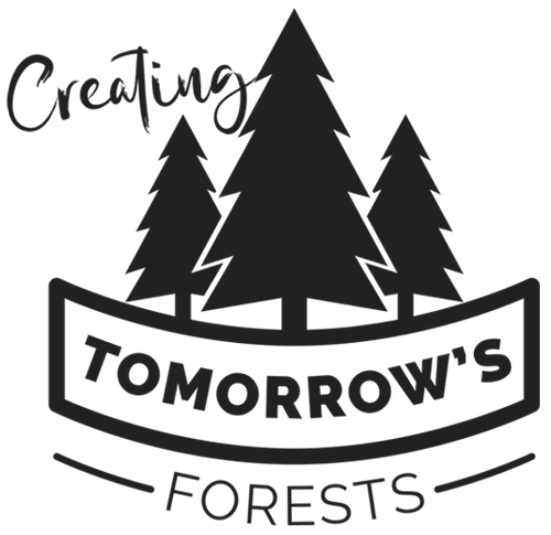 Creating Tomorrow's Forests