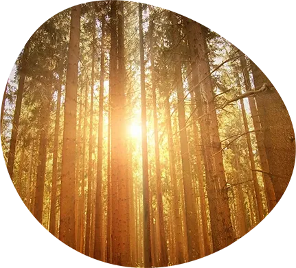 Reset Connect our mission