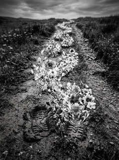 Finding Sustania
