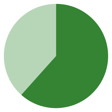 61% | Green & sustainable finance and investment