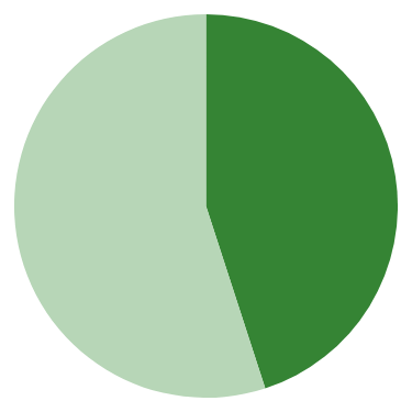 Sustainable business strategy & policy