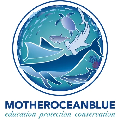 Company logo image for Zakia Rashid