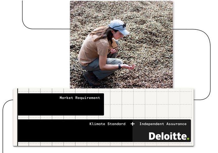 Transform strategies into reality with vetted projects, best-in-class standards, and simplified procurement. 