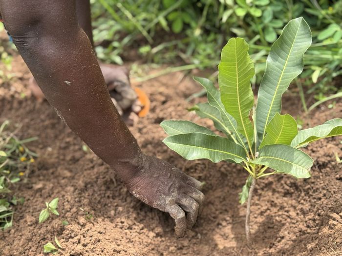 Seed & Sustain (Product & Farmer Support)