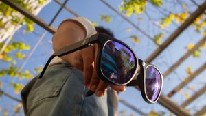 Sunglasses