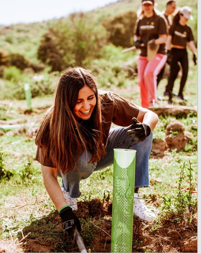 Corporate Tree Planting Days