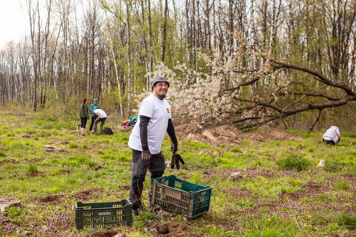 Corporate Tree Planting Days