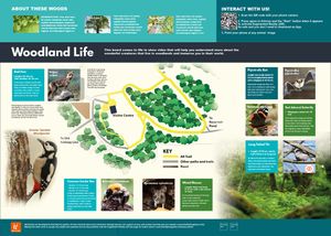 Video boards that bring interpretation and wildlife identification to life 