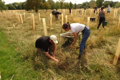Boosting Biodiversity in West London