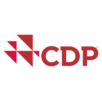 Company name - CDP