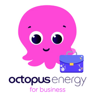 Company name - Octopus Energy for Business