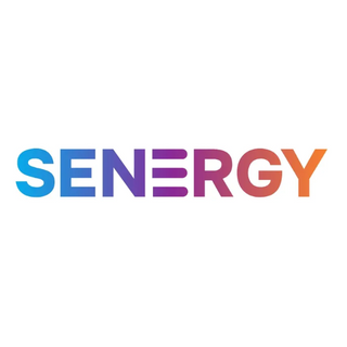 Exhibitor profile image for Senergy Innovations