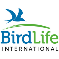 Company name - BirdLife International