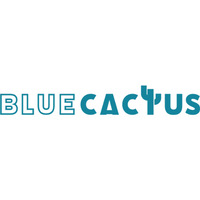 Company name - Blue Cactus Digital