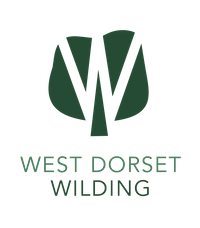 Company name - West Dorset Wilding