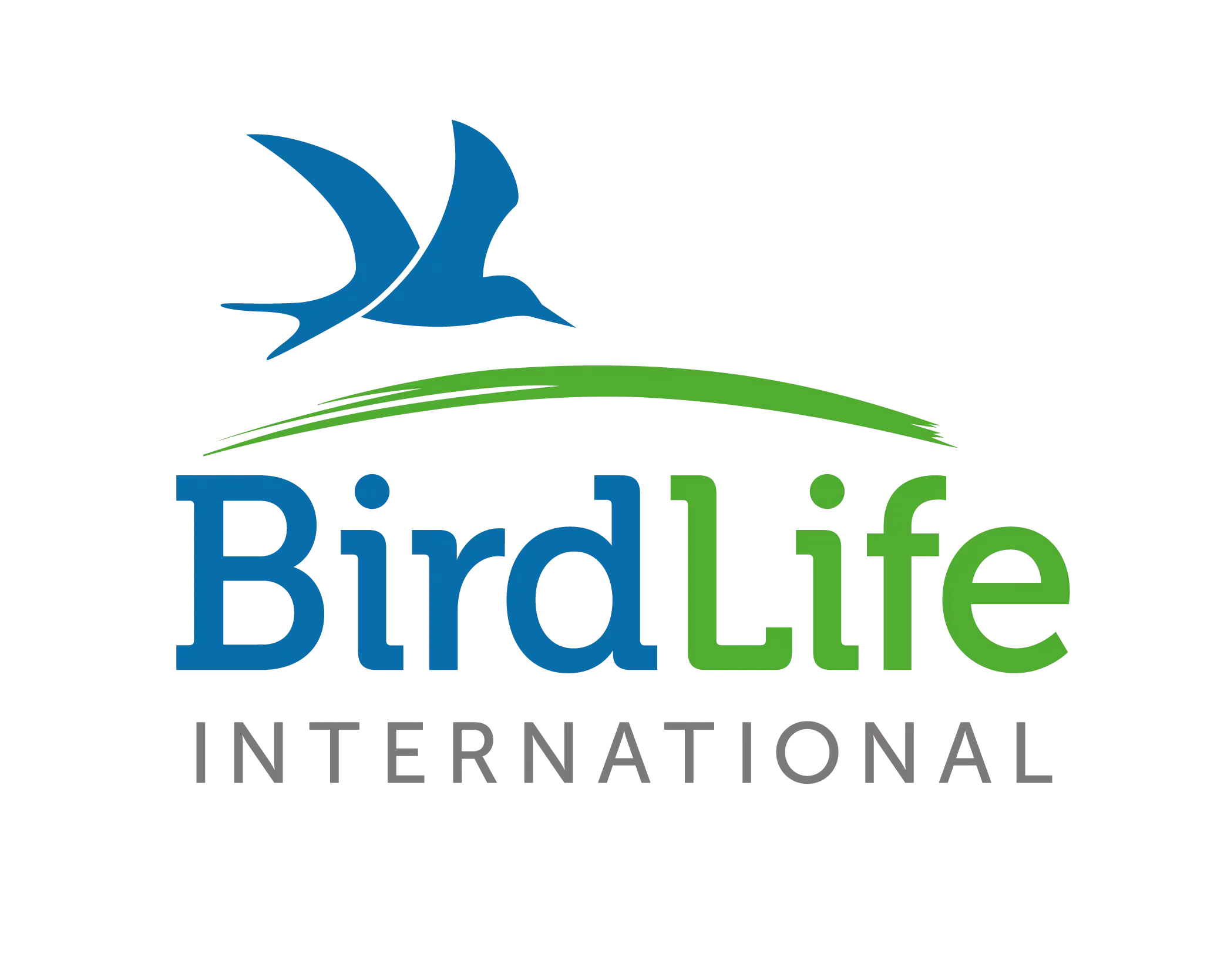 Company logo image for Cleo Cunningham