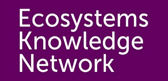 Company logo image for Bruce Howard