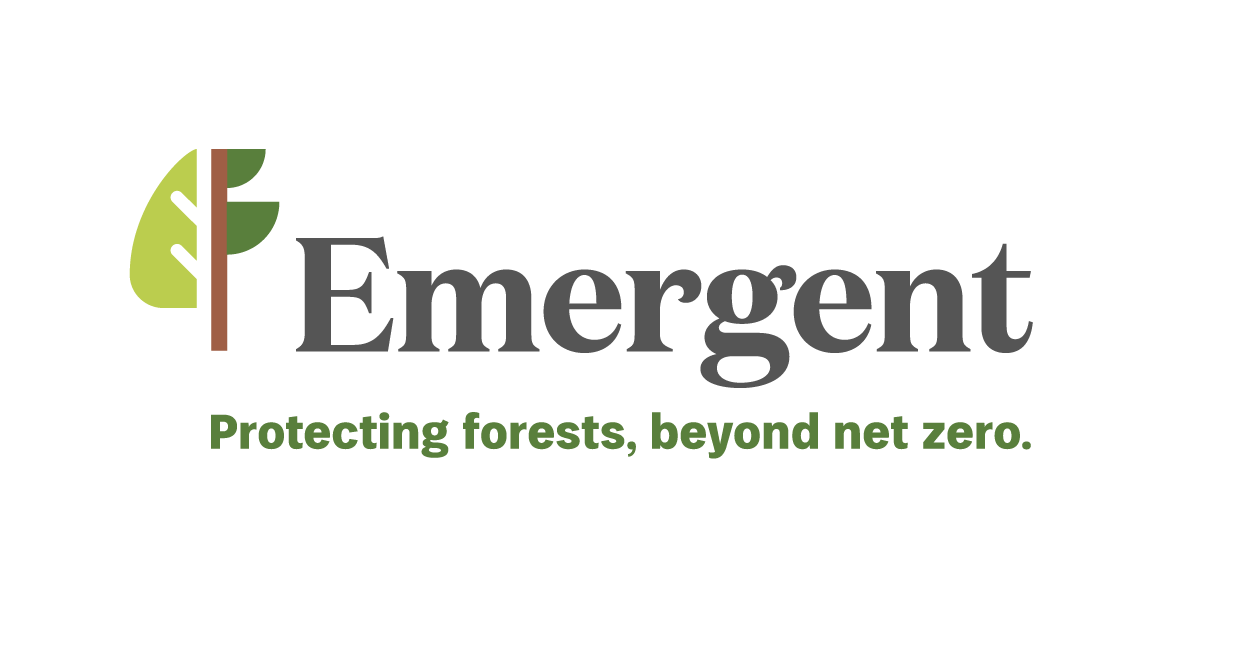 Company logo image for Edwina McKechnie