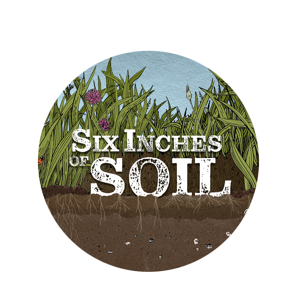 Company logo image for Claire Mackenzie