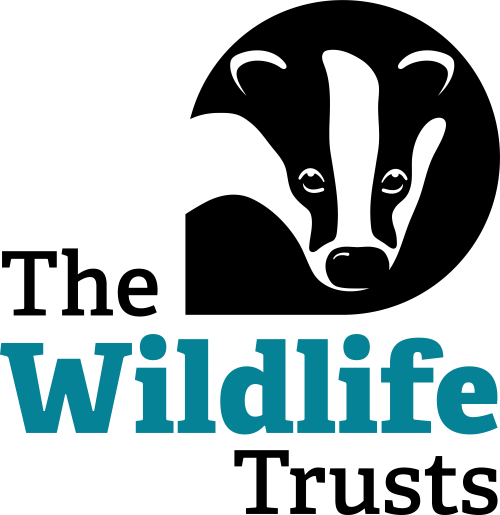 Company logo image for Kathryn Brown OBE