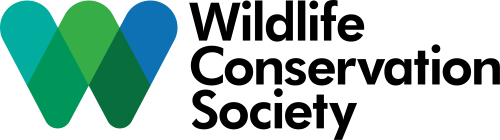 Company logo image for Ashley Camhi