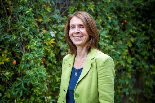 Speaker profile image for Sue Riddlestone OBE