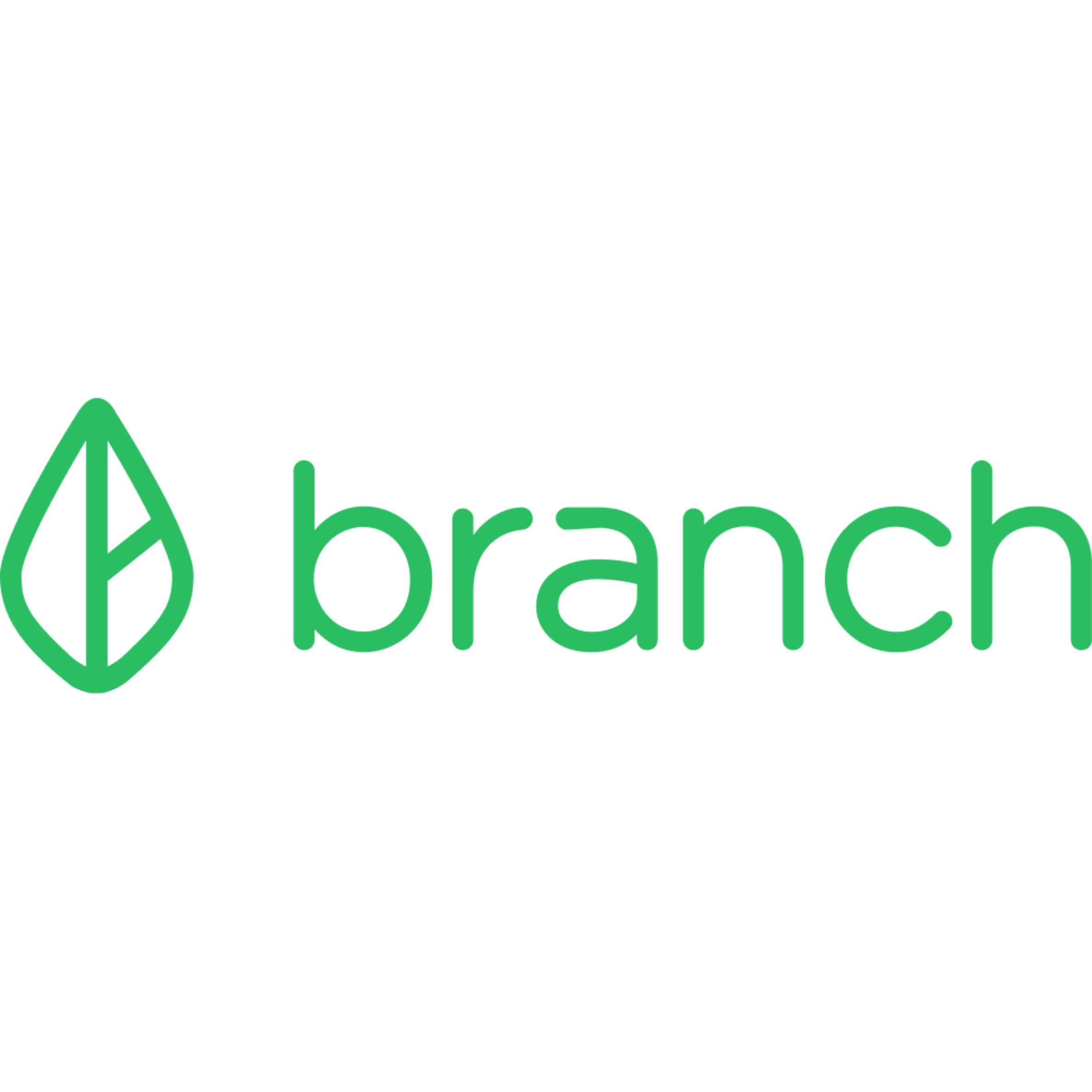branch logo