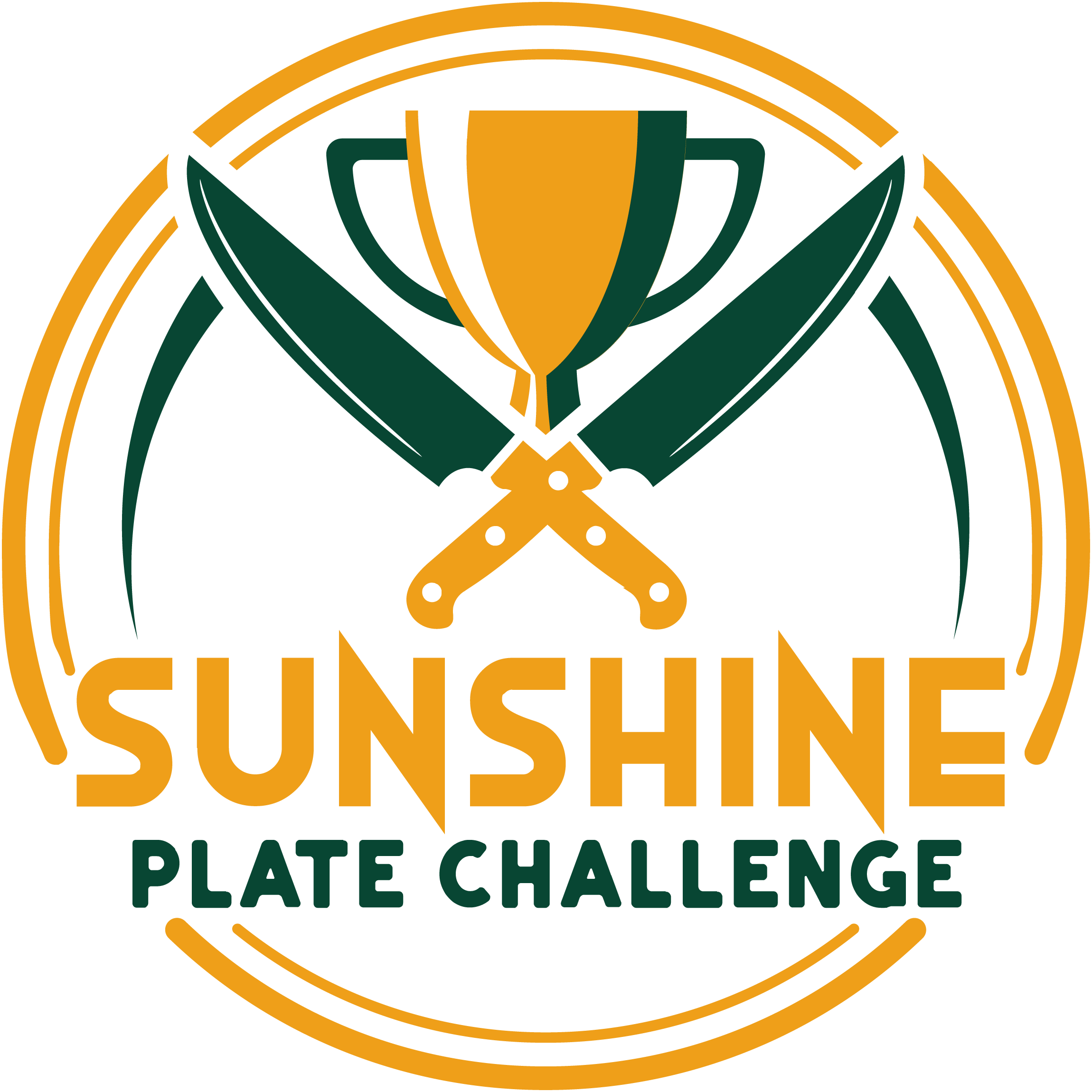 sunshine plate challenge